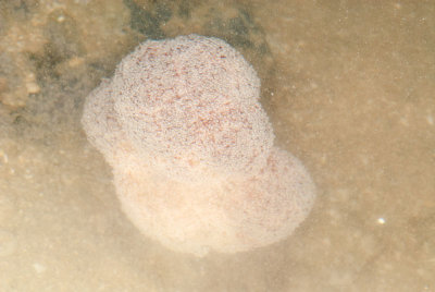 DSC_2496.jpg