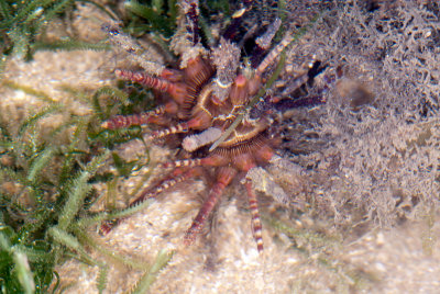 DSC_2497.jpg