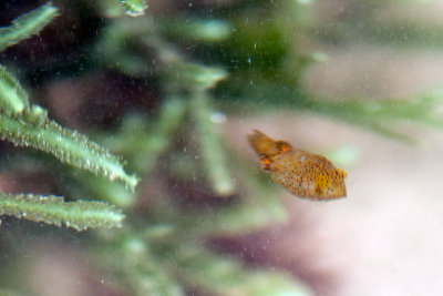 DSC_2501.jpg