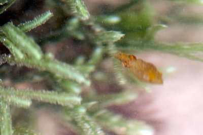 DSC_2502.jpg