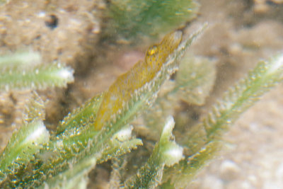 DSC_2503.jpg
