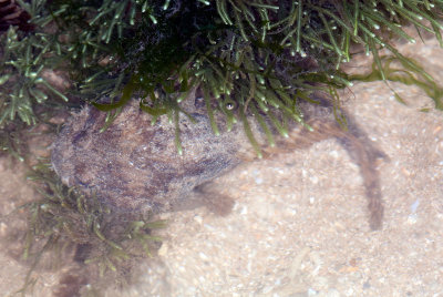 DSC_2504.jpg