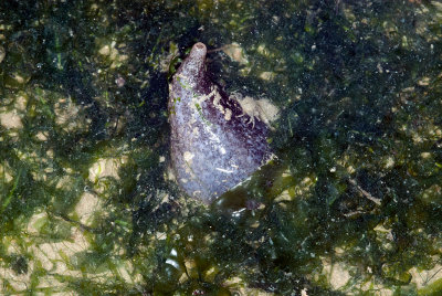 DSC_2508.jpg
