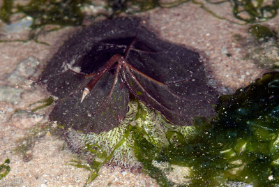 DSC_2511.jpg