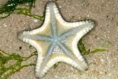 DSC_2513.jpg