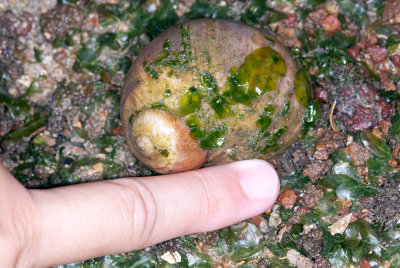 DSC_2533.jpg
