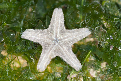 DSC_2538.jpg