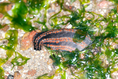 DSC_2541.jpg