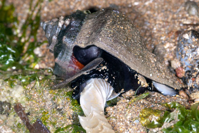 DSC_2543.jpg