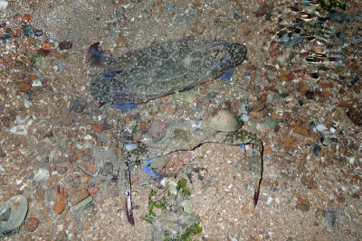 P8201218.jpg