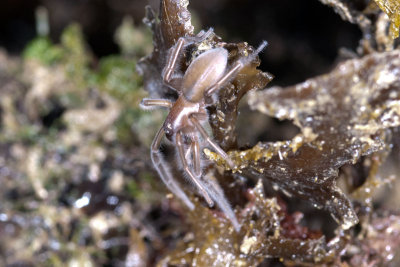 DSC_2630.jpg