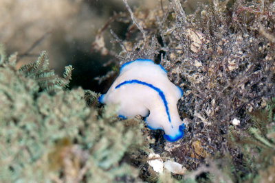 DSC_2636.jpg