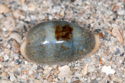 DSC_2641.jpg