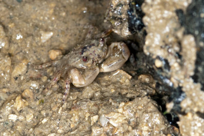 DSC_2645.jpg