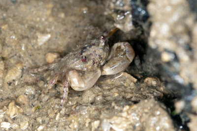 DSC_2646.jpg