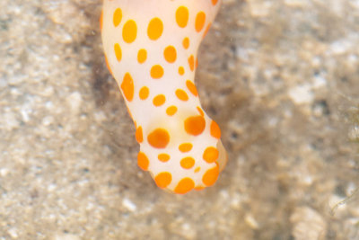 DSC_2669.jpg
