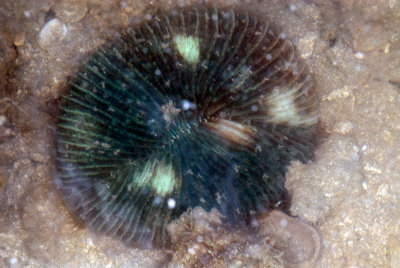 DSC_2681.jpg