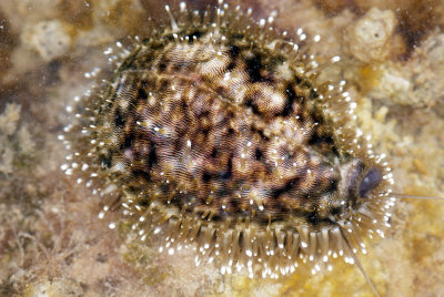 DSC_2683.jpg