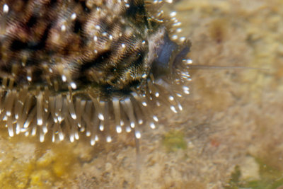 DSC_2684.jpg