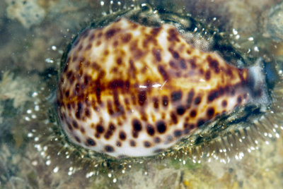 DSC_2688.jpg