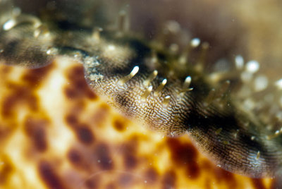 DSC_2691.jpg