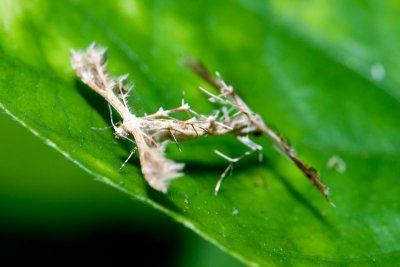 DSC_0664.jpg