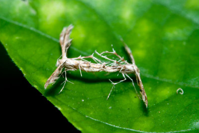 DSC_0666.jpg
