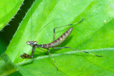 DSC_0681.jpg