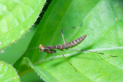 DSC_0690.jpg