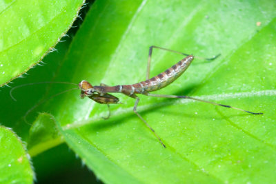 DSC_0691.jpg