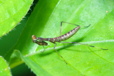 DSC_0692.jpg