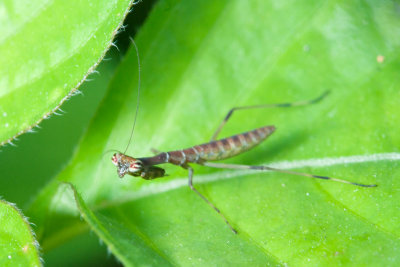 DSC_0693.jpg