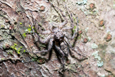 DSC_2752.jpg