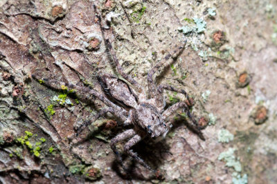 DSC_2754.jpg