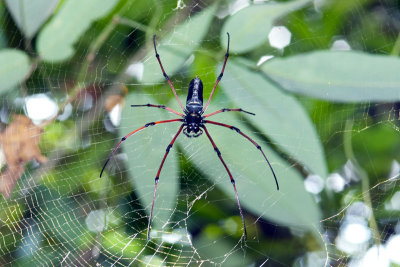 DSC_2756.jpg