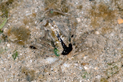 DSC_2898.jpg