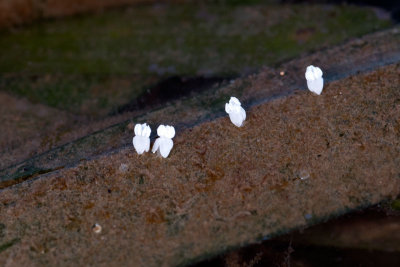DSC_2908.jpg