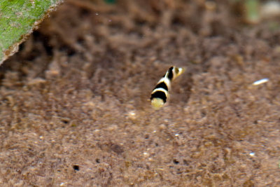 DSC_2928.jpg