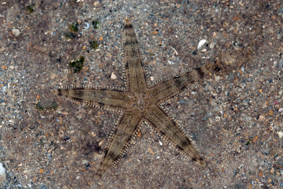 DSC_2962.jpg