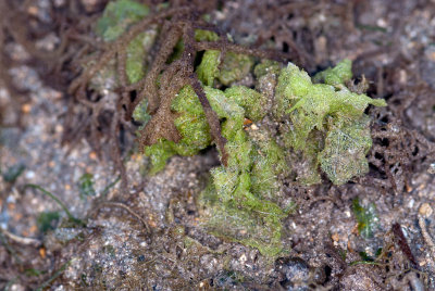 DSC_2964.jpg