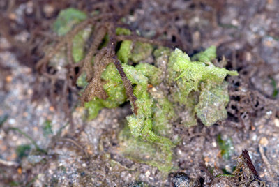 DSC_2965.jpg