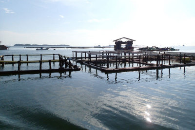 PA061475.jpg