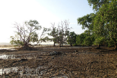 PA061477.jpg