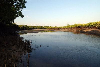 PA061479.jpg