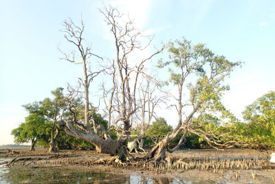 PA061481.jpg