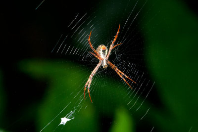 DSC_3005.jpg