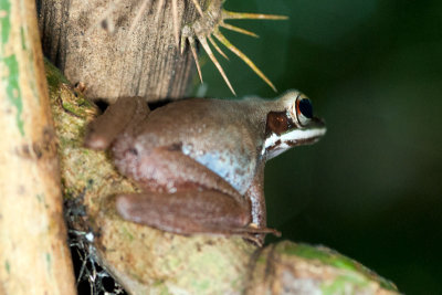 DSC_3024.jpg