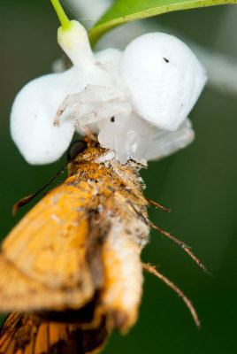 DSC_3208.jpg