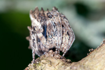 DSC_3210.jpg