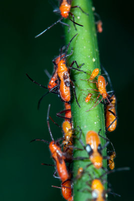 DSC_3232.jpg